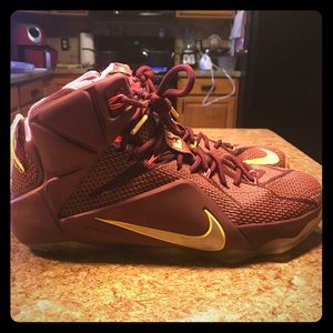 Lebron 12's.  Size men's 10.5